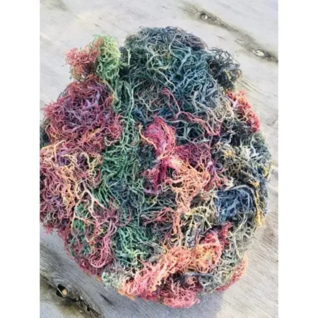 Multi-Color Irish Sea Moss | Premium Quality St Lucia